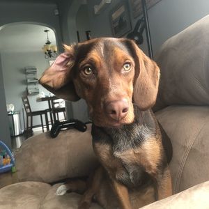 Meet your Posher, Edgar